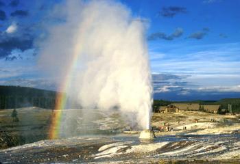 geiser - Beehive in Yellowstone National Park