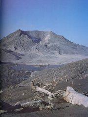 Mount St. Helens na de eruptie van 18 mei 1980